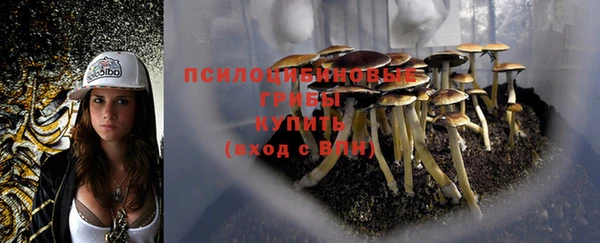эйфоретик Абдулино