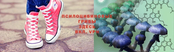 эйфоретик Абдулино